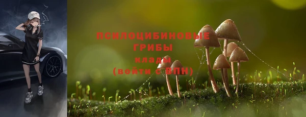 спиды Верея
