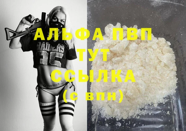 спиды Верея