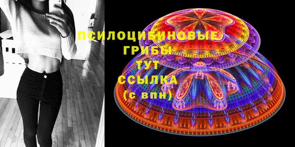 спиды Верея