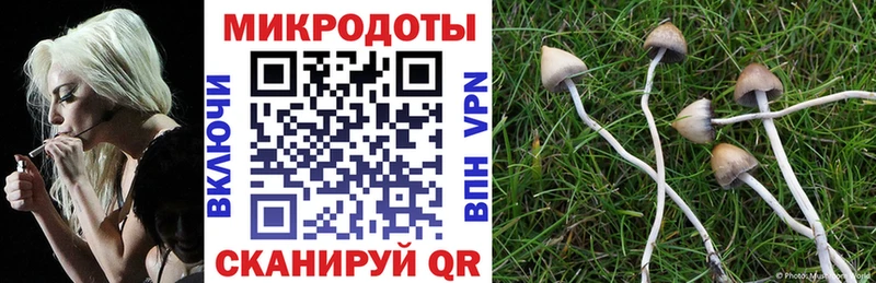 блэк спрут вход Верея Галлюциногенные грибы мицелий