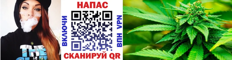 Шишки марихуана гибрид  где найти наркотики  Верея 
